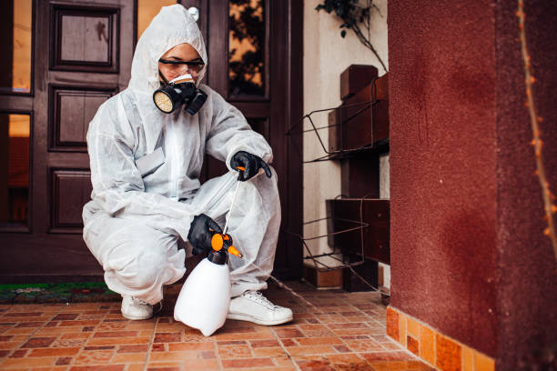 Reliable Cockroach Control contractor in Mount Zion, GA by Nex Pest Control